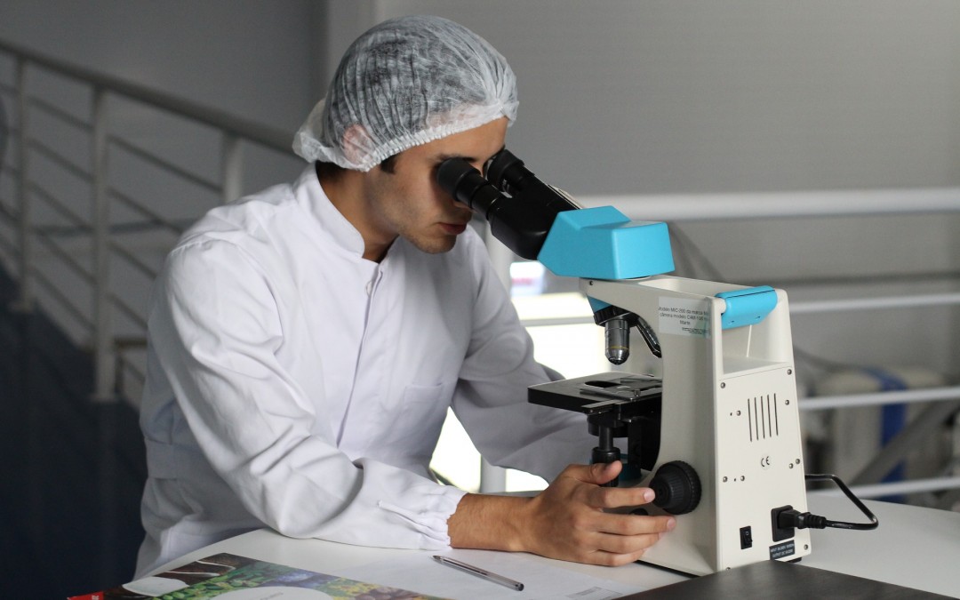 Status of our research